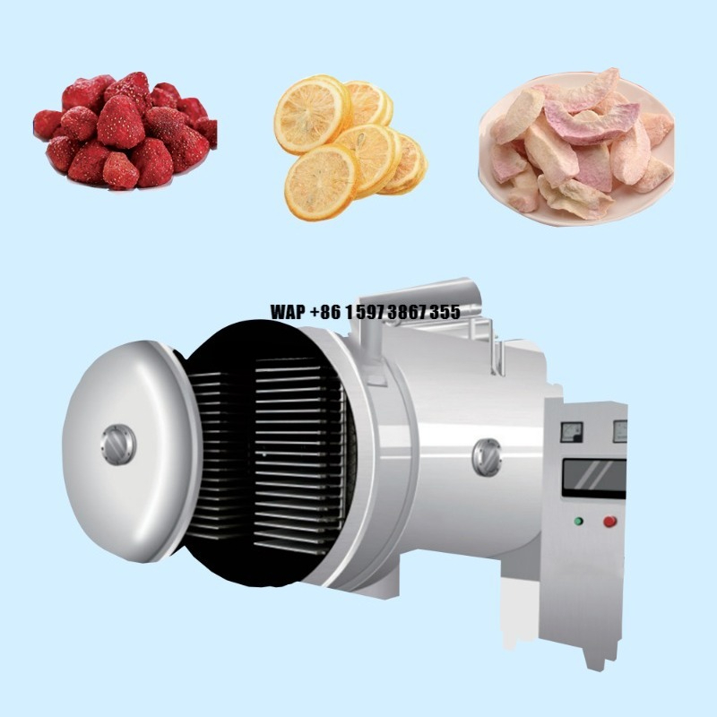 Dried Fruit - Linia produkcyjna do suszenia warzyw mrożonych