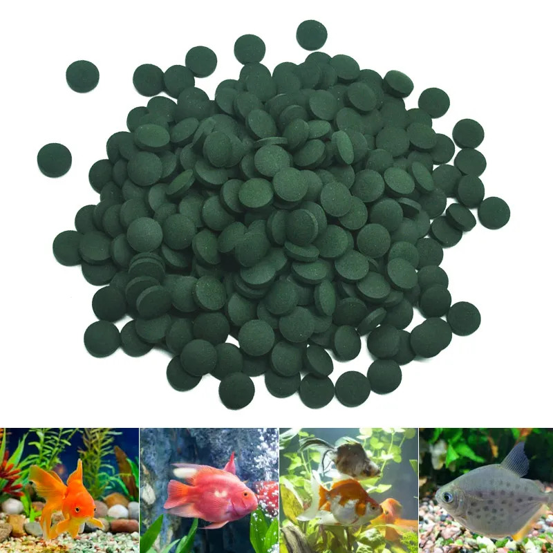 50-300 szt. Tabletek Spiruliny – Seaweed Snack recenzja i cena