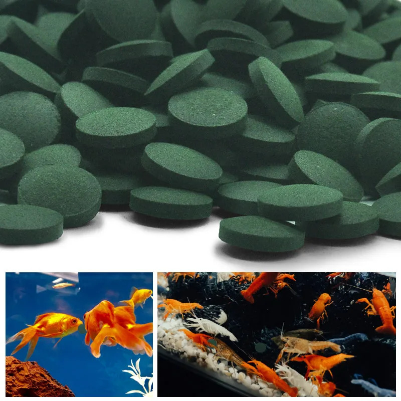 50-300 szt. Tabletek Spiruliny – Seaweed Snack recenzja i cena